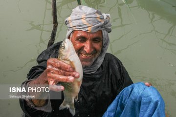 مشاهده عکس در توییتر