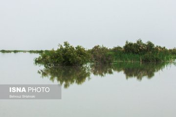 مشاهده عکس در توییتر