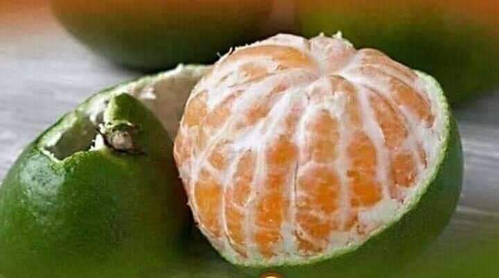 बाहर से हरे होने का दावा करने वालो, असल मे तुम भी अंदर से भगवा ही हो🚩🚩