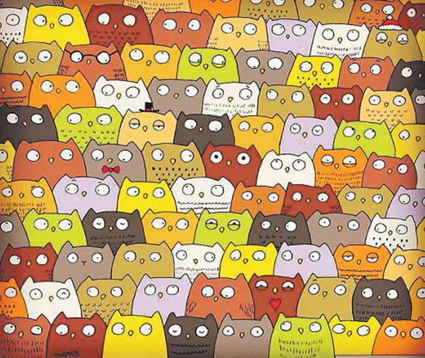 Ответ найди кота 67 уровень. Код найди кот. Картинка игра найди котика. Найди кота среди сов. Найди мышь среди котов.