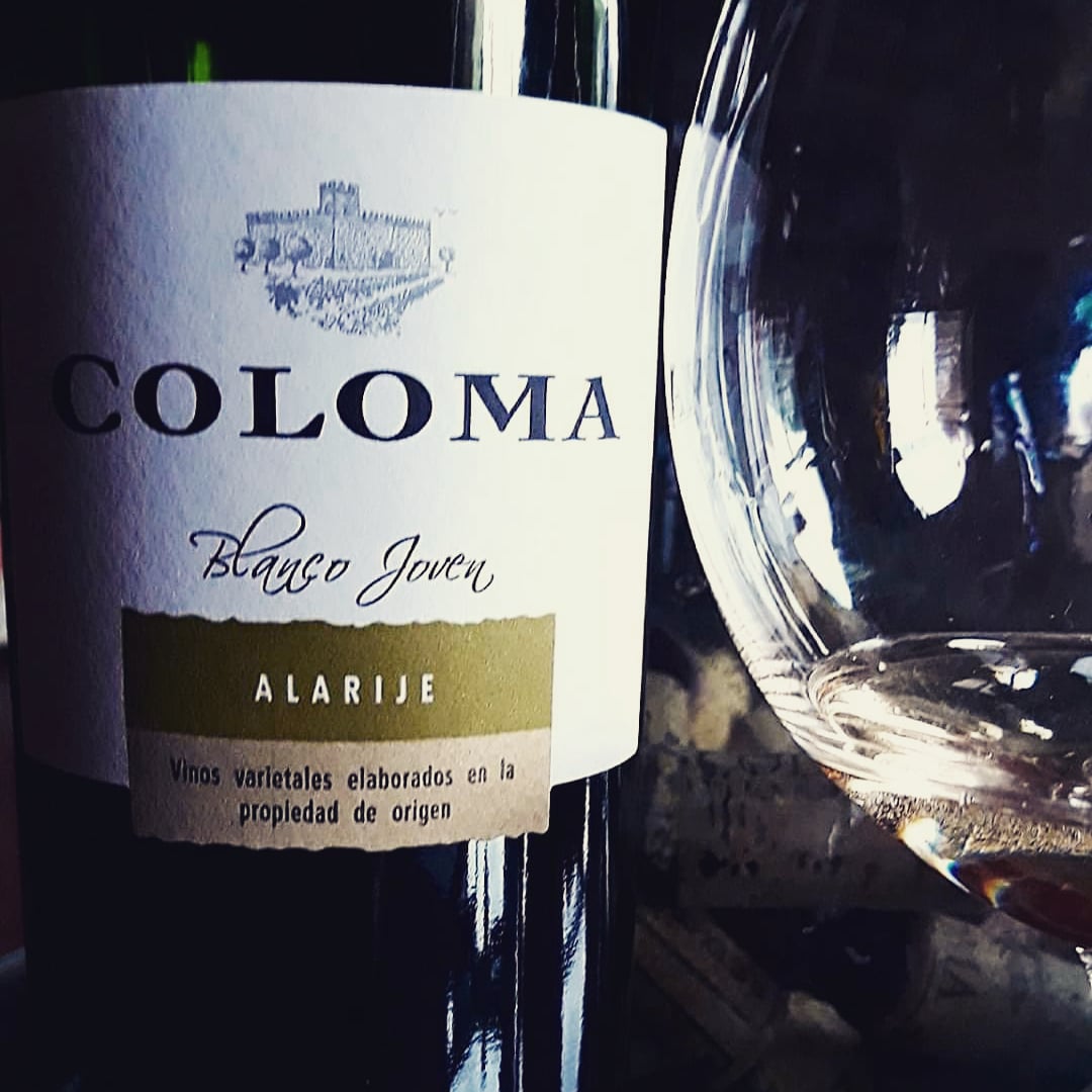 ErikaJacobs1's tweet photo. #wijnhuisoinos #lookingforimporters #coloma #wineimport 
📧 Info@oinos.be https://t.co/4oqqkaTOiN