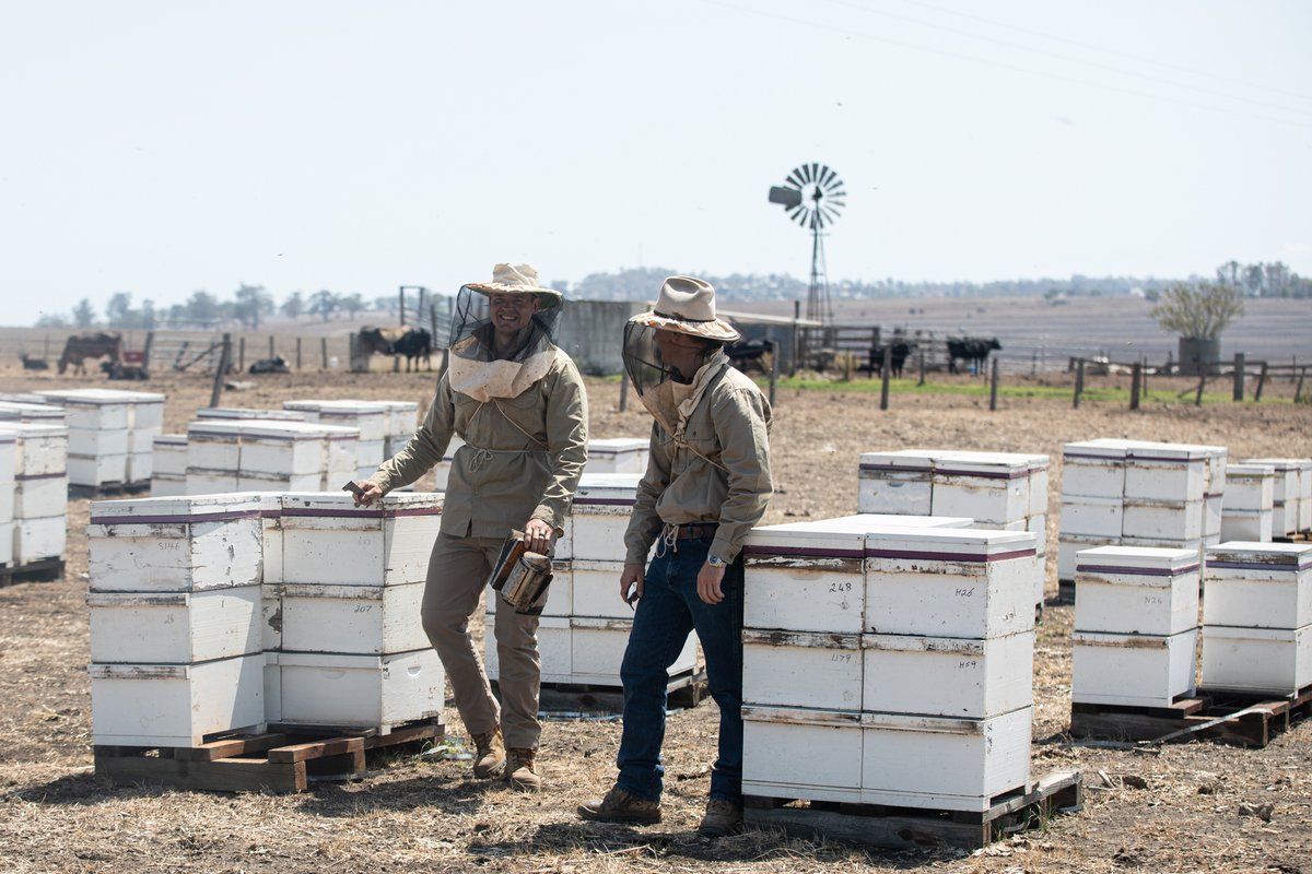Just as other Australian livestock farmers are facing unprecedented challenges feeding their animals in the extreme conditions of 2019-2020, so too are our hardworking beekeepers. Help support them through #HiveAid: capilanohoney.com/au-en/for-bees…