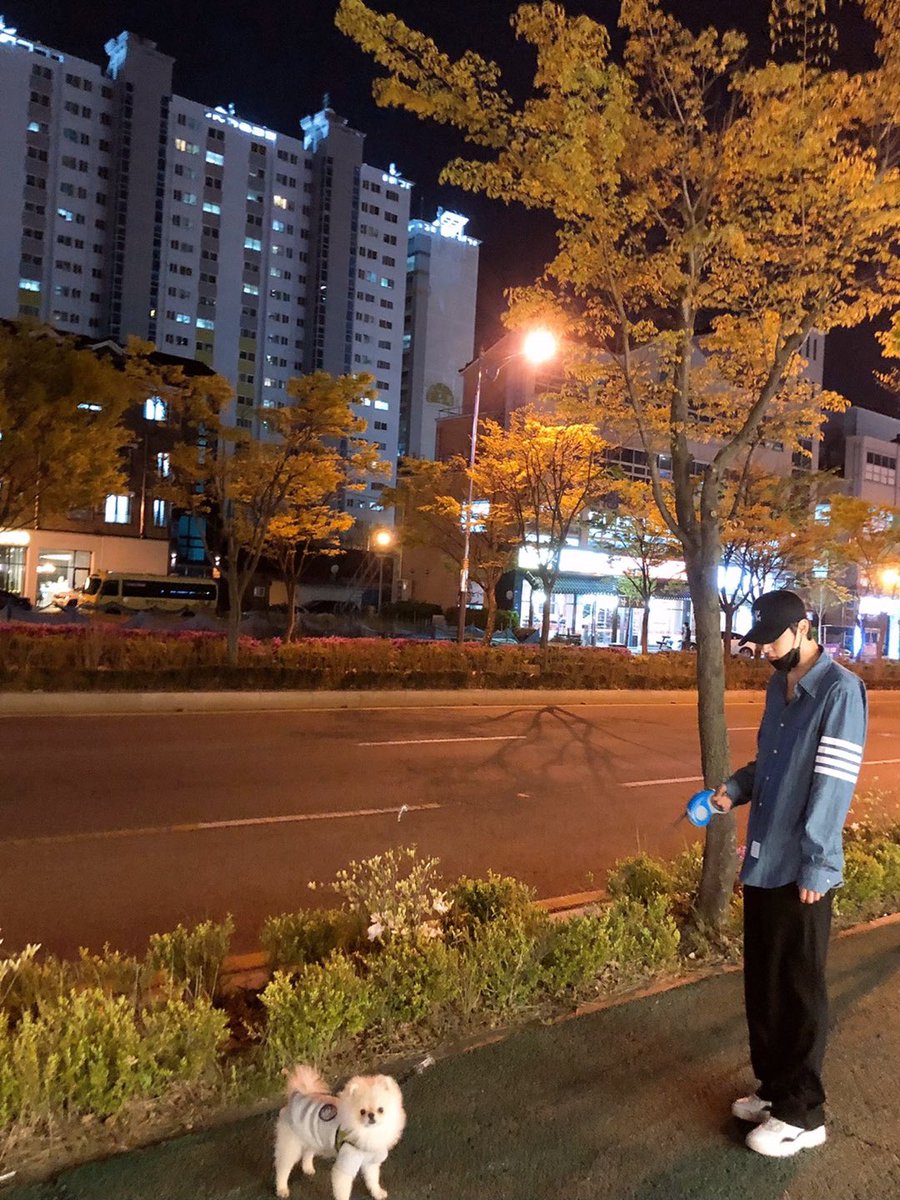 VICTON 빅톤 tweet media