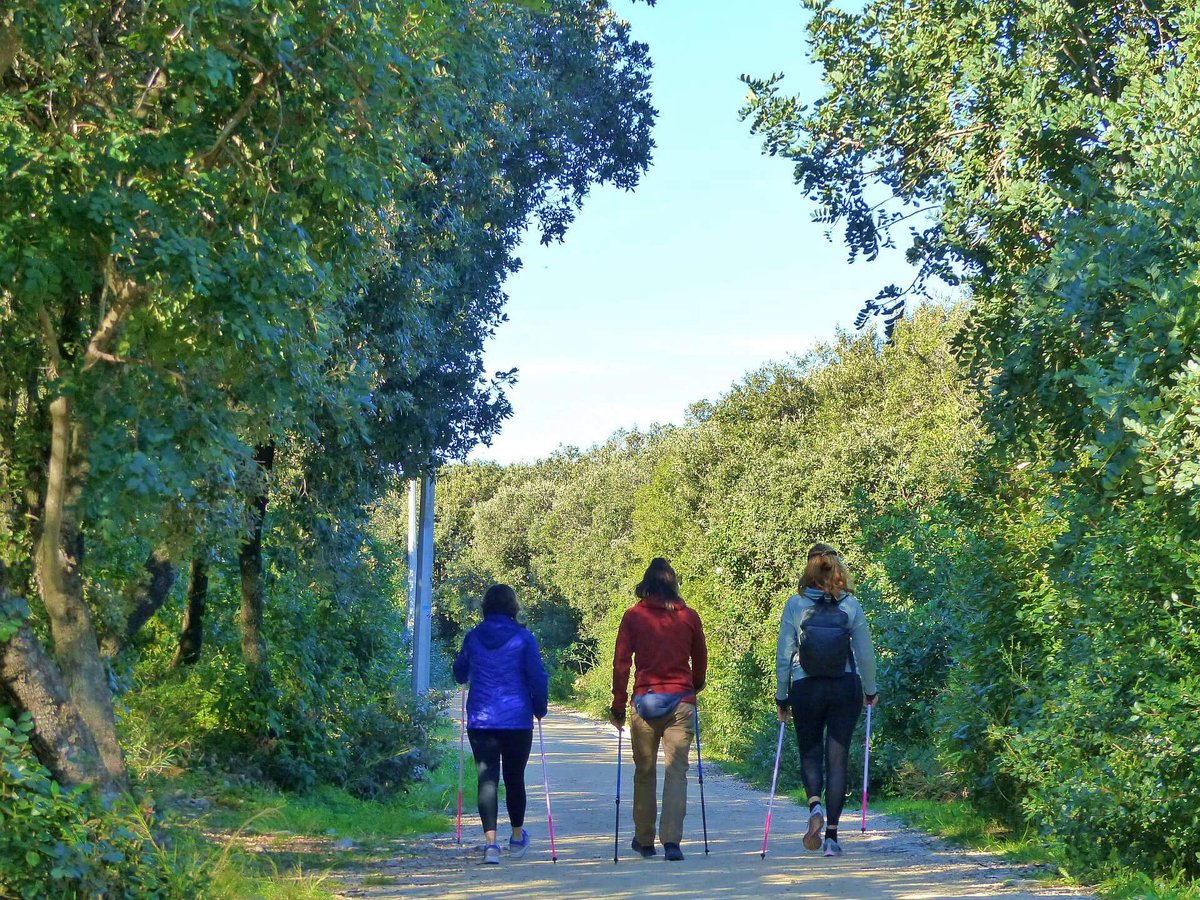 Za sve koji se žele rekreirati u prirodi i ostvariti slične učinke kao trčanjem, plivanjem ili aerobikom, ali na puno jednostavniji i ležerniji način, kreće radionica Nordijskog hodanja! 😊Upisi i informacije na linku: hikingdubrovnik.com/nordic-walking… #dubrovnik #nordicwalking