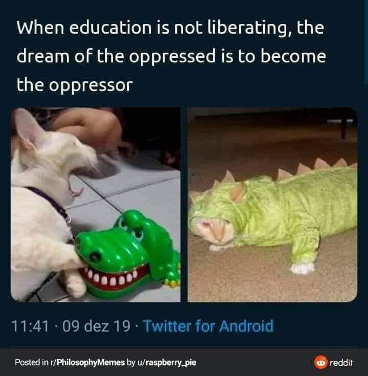 BeverleyBMiles's tweet photo. Food for thought

I really miss the ✨momentary✨ MQ strategic tag line: 
Nurtured to break free

#CritDigLit #designjustice #remotelearning #onlinelearning #learningdesign #edtech #femedtech #edchat #power #studentsaspartners #empower #nurture #socialmobility #humanrights https://t.co/2Po0XkQc9a