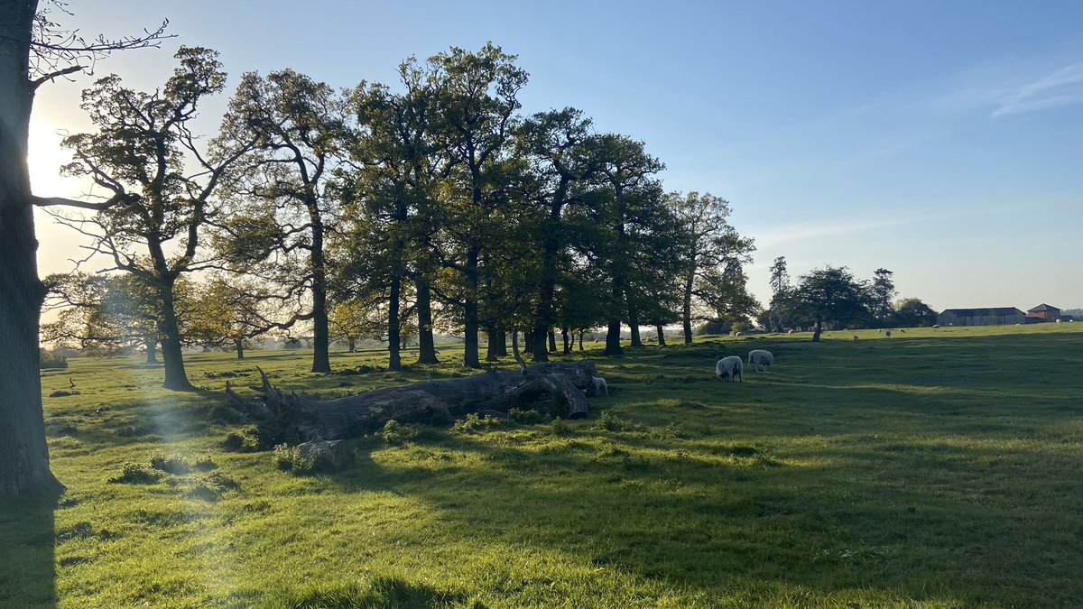stuyoso's tweet photo. We #LoveMK because... 

@TheParksTrust @scenesfromMK #miltonkeynes https://t.co/0ZqhjxnYgq
