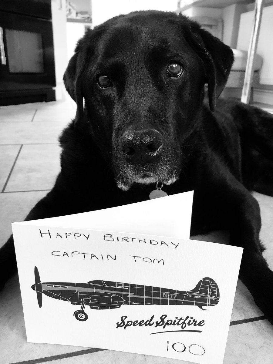 TherapyMax's tweet photo. A very special birthday today! Happy Birthday Captain Tom! 🐾🐾 https://t.co/Wrdf3bBZLy