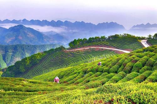 ChinaEmbEsp's tweet photo. #China y el desarrollo ecológico:

✅ Crecimiento 0 de tierras desertificadas
✅ Bosques ⬆️ 4.560 mill. m³
✅ CO2 por unidad de PIB en 2018 ⬇️ 45,8%
✅ Desierto de Kubuqi 🏜️ convertido en valle verde
✅ Cielo + azul, agua + limpia 🌊
👉https://t.co/KNhHff128I vía @ChinaEUMission https://t.co/hRMJtPwQ0k