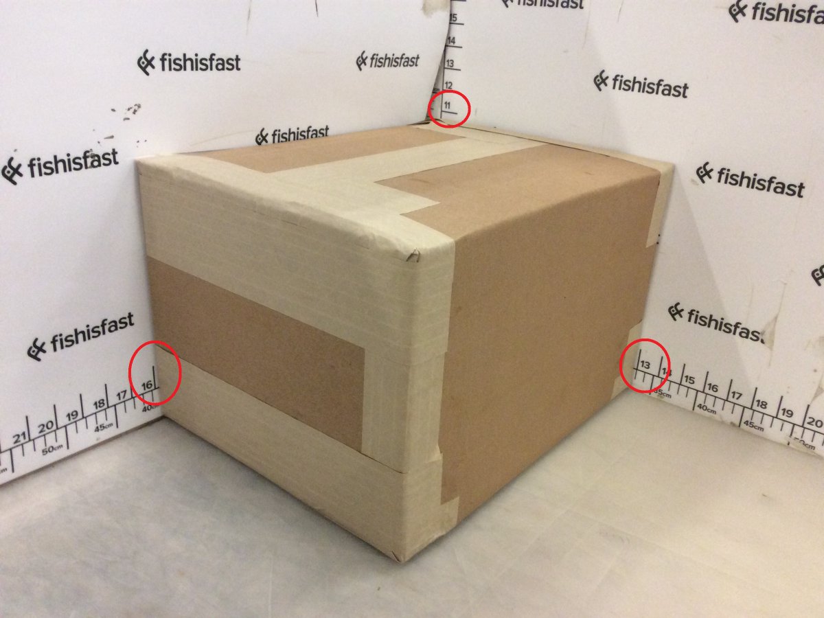 وحي الهام هزة بعد ذلك صورة صندوق كرتوني مفتوح