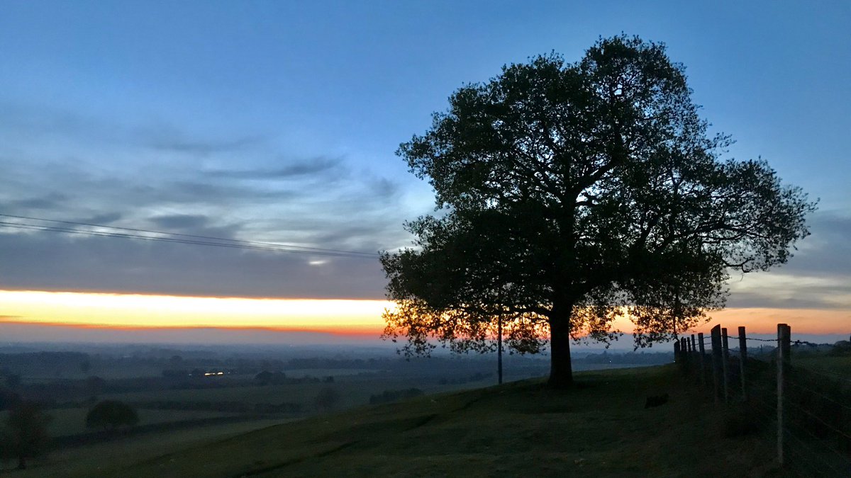 Yesterday evening’s daily exercise, after the rain 🌅