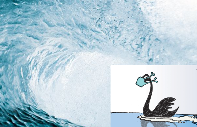 Tewistic's tweet photo. From Black Swans to Blue Oceans:  
It's hard to define what the 'New Normal' will be or when it will arrive. Running an exclusive webinar for @BSEInstitute  on how Blue Ocean Strategy can be used to navigate the post pandemic world. 
 #business #innovation #DesignThinking https://t.co/BLzwUWIVKZ