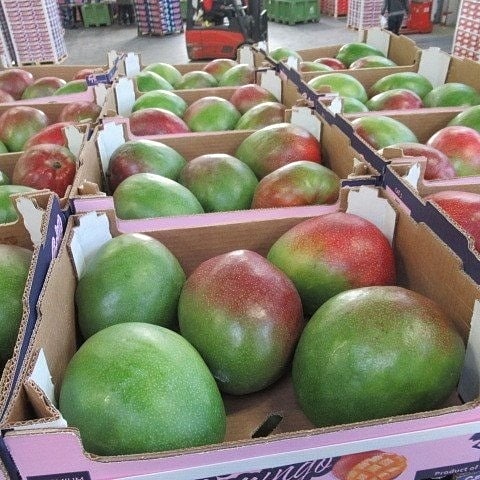 masterfreshuk's tweet photo. Today availibility grapes avocado and mango

#freshproduce #foodie #farmersmarket #fresh #foodservice #shoplocal #seasonalproduce #vegan #food #market #cheflife #healthy #fruit #farmtotable #buylocal #uk #longisland #grocerystore #vegetables #bhfyp #fruit #greengrocer #wholesale https://t.co/4PHlcbTkLT