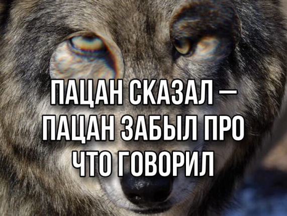 EW1vRvEX0AARfLc?format=png&name=small