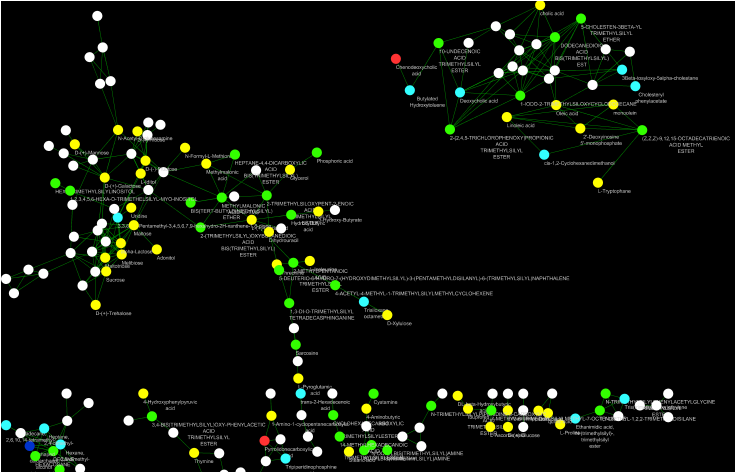 BiswapriyaMisra's tweet photo. @GNPS_UCSD Molecular Networking for #GCMS #EIMS #datasets 

Try out: https://t.co/7oORFTik5H for #MSHub + #GNPS 

Visualized with @cytoscape 

Node colors indicate spectra from diff. #GCMS platforms (for fun!) : EI-B🟢, GC-ToF 🟡, GC-Quad🔴, GC-IT 🔵 etc.

#massspec #metabolomics https://t.co/T9BV6SSrFb