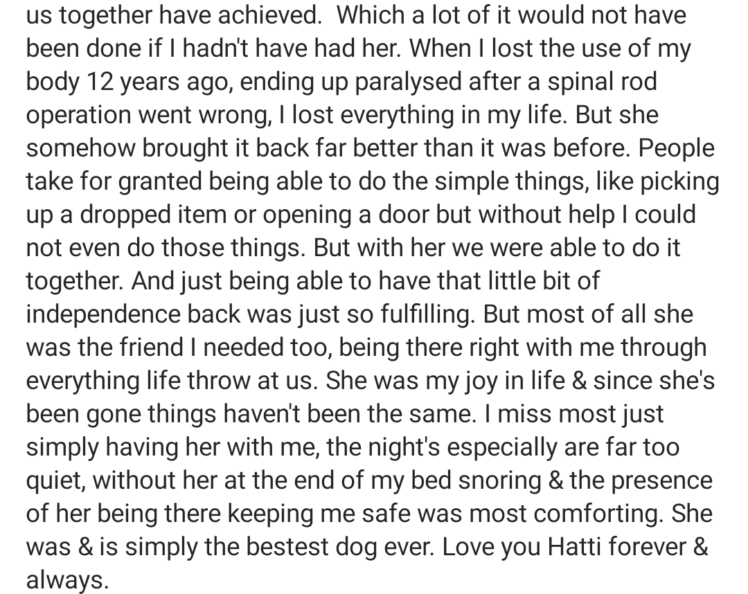 ZoeVickers's tweet photo. Utterly heartbreaking!💔 I just can't believe she's gone. Best dog ever. Love you always Hatti. 💜🐾
My bestest friend &amp; @DogsForGoodUK Assistance Dog. 🐕‍🦺 https://t.co/XaFFgKD6go