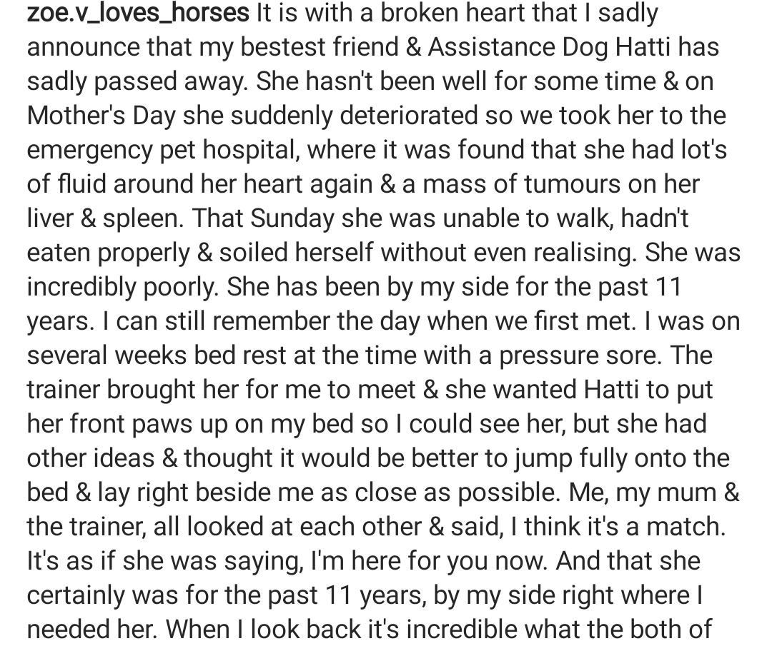 ZoeVickers's tweet photo. Utterly heartbreaking!💔 I just can't believe she's gone. Best dog ever. Love you always Hatti. 💜🐾
My bestest friend &amp; @DogsForGoodUK Assistance Dog. 🐕‍🦺 https://t.co/XaFFgKD6go