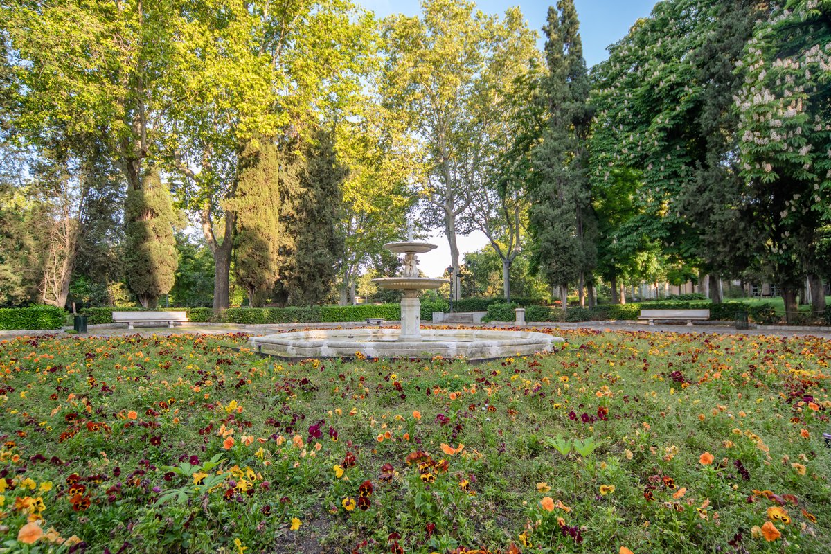 ACCIONA's tweet image. No podemos disfrutarlo pero queremos acercártelo a casa 🏡Así de bonito luce en primavera el parque de El Retiro, en Madrid 🌻🌺🌷🦆🦢

COMPARTE 🔃 para que todos puedan disfrutarlo 👇
