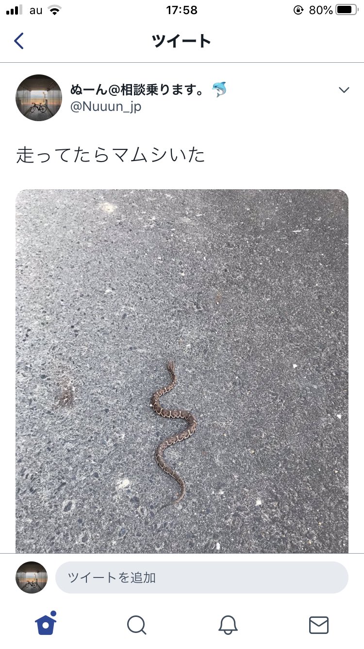 綺麗に2コマで落ちてる 道でマムシを捕獲した人の取った行動 話題の画像プラス 綺麗に2コマで落ちてる 道でマムシを捕獲した人の取った行動 話題の画像プラス