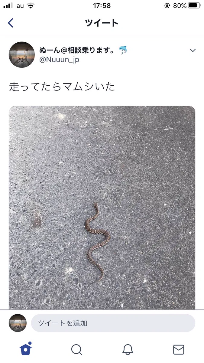 綺麗に2コマで落ちてる？道でマムシを捕獲した人の取った行動www