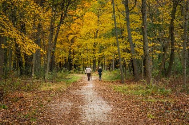 BREAKING: Forever Wild expands Turkey Creek Nature Preserve 170