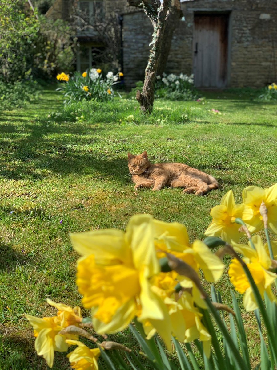 Vicky Buckman tweet media