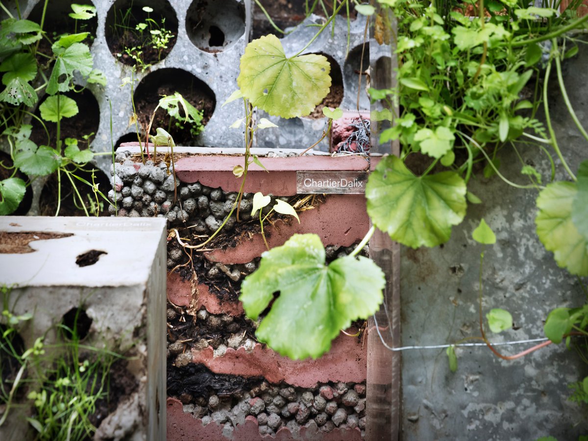 #etdemainonfaitquoi Contribution de <a href="/ChartierDalix/">Chartier Dalix</a> 
 
" La ville est devenue un prédateur écologique, dépendante du bon fonctionnement des transports, des énergies fossiles, et de l’équilibre des relations internationales."

A lire 👉bit.ly/3d19HrP
#teamarchi