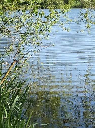 Vicky Buckman tweet media