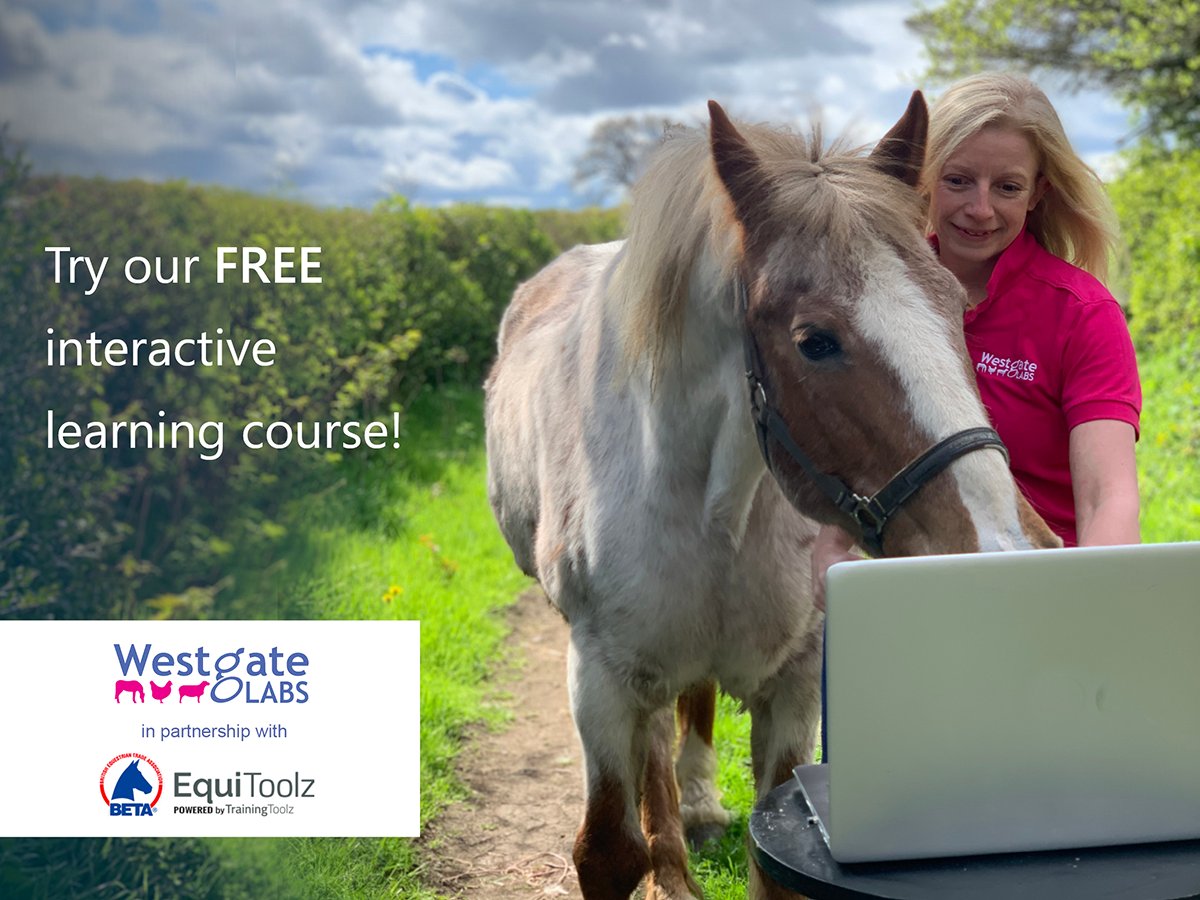🐴💡 Have you got a spare 30 mins for some online learning to benefit your horse's health? Try our free interactive training course in partnership with <a href="/betaequestrian/">BETA</a> and EquiToolz. Find out more and take part 👉 bit.ly/AboutIntroToPa…