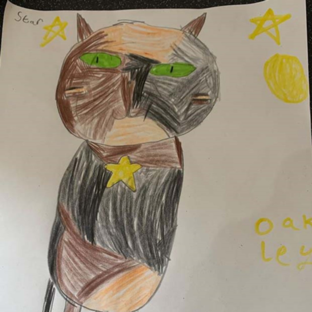 greatyarmouthbc's tweet photo. Over the #weekend, whilst you're #StayingAtHome, why not get the kids to participate in our #GYTogether campaign? This lovely drawing is by Oakley, age 9, of his #cat called Star. πΊβ¨
Join our group to submit your entries: https://t.co/I7Up8XM9NR.π¨ #Pets #Drawings #Art https://t.co/zKNxHRqQ8R