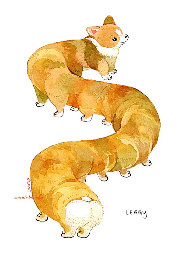 maruti_bitamin's tweet photo. corgi longi leggy https://t.co/GrWVU0qgwm