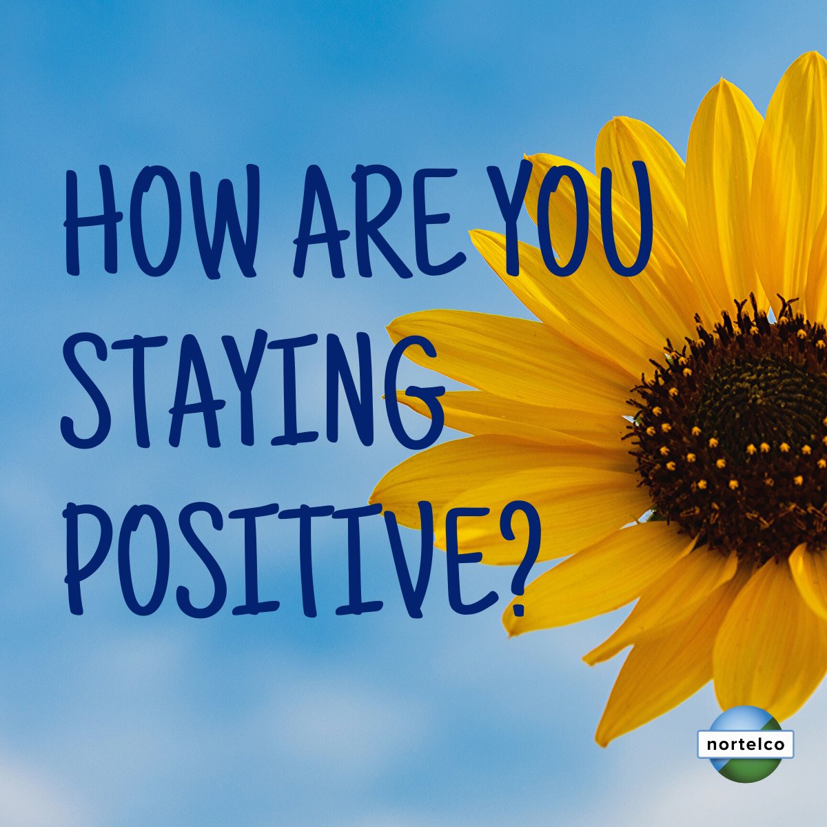 Nortelco tweet media