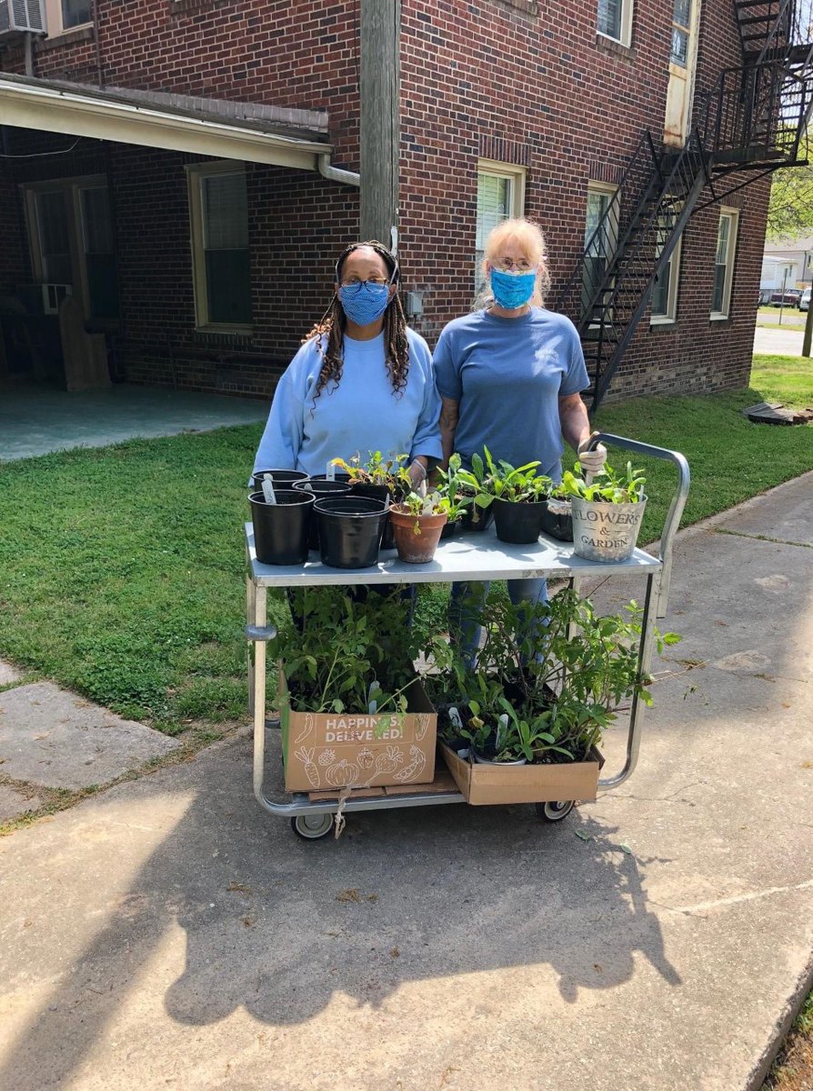 DurhamCounty's tweet photo. Feed My Sheep employees @DurhamExtension are prepping “salad plants” for seniors and families who need it. These salad plants come from Briggs Avenue Community Garden and are “pinched,” or pruned to encourage plants to branch out #dcostories #workingatwork https://t.co/ram09zGd1h
