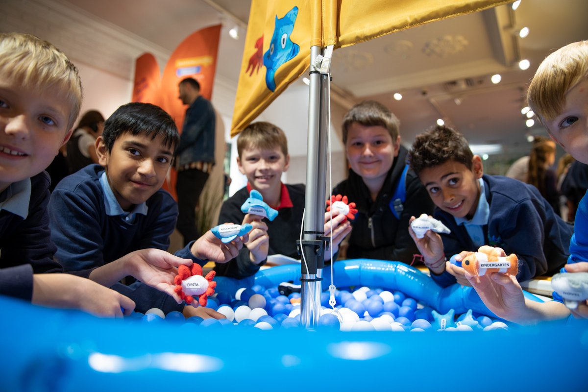 MEITS_OWRI tweet media