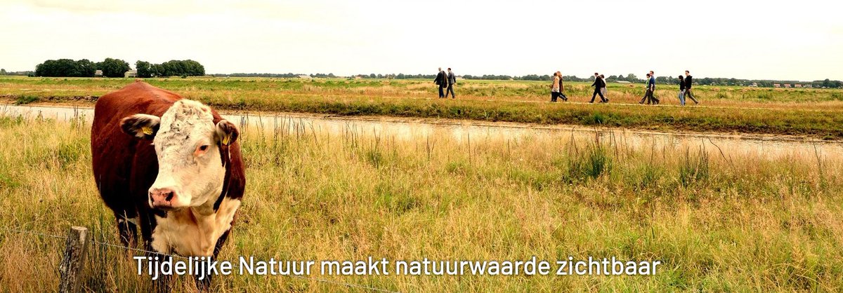 tijd_nat's tweet photo. Fraai dubbelinterview over #Tijdelijke #Natuur, met Mark Zekhuis (Landschap Overijssel) en Arnold van Kreveld (stichting Tijdelijke Natuur). Zojuist verschenen in het digitale magazine van Biind, het platform voor de fysieke leefomgeving https://t.co/OdeackyooB https://t.co/hUwNcM6lr9