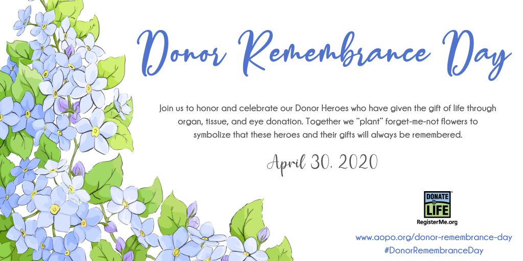 Today is #DonorRemembranceDay, we honor donors & their families who have given the gift of life through organ, eye and tissue donation. Forget-me-not flowers symbolize that donors & their legacy of generosity will always be remembered. @AOPOHQ #DonateLife #DonateLifeMonth