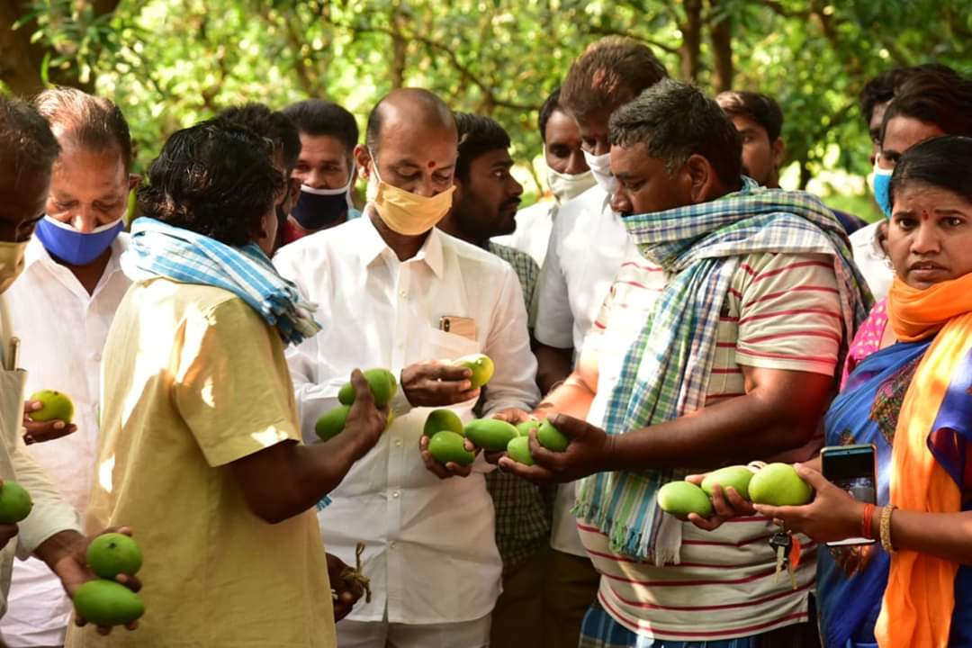 bandisanjay_bjp's tweet photo. కరీంనగర్ లోని కొత్తపల్లి మండలం చింతకుంట మరియు మానకొండూర్ మండలం ఈదులగట్టేపల్లి, ఖదేరుగుడేం గ్రామాల్లో అకాల వర్షాలకు దెబ్బతిన్న మామిడి తోటలను నేడు పరిశీలించడం జరిగింది.రైతులతో మాట్లాడి నష్ట తీవ్రతను తెలుసుకున్నాను. https://t.co/66OBnbXmU4
