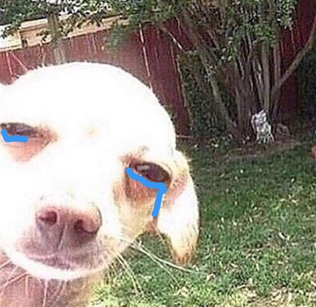 Rt,ตามทักครับ 💌✨
ชีวา แชยอน 00 🌷

/อย่าสงสารคนตายเลยแฮร์รี่ สงสารคนที่มาสจะเช็คเมนแต่ไม่มีเมนให้เช็คเถอะ  / ยพท . rt ตามทักครับค่ะ / 🤲🏻❤️🥺