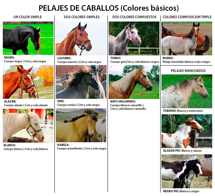 Rob Marrod on Twitter: "Continúo avanzando en la lectura y, llegado al capítulo de creación de personajes, casi me asombra el (escaso) número de dones disponibles a Rango 1 ¿Siempre han sido