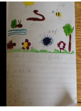 scargill_school's tweet photo. Just seen this fantastic work by Riley- he has been busy looking for living things in his garden and recorded what he found. #Science #DeerClass #HomeLearning https://t.co/vWYZMSOFsB