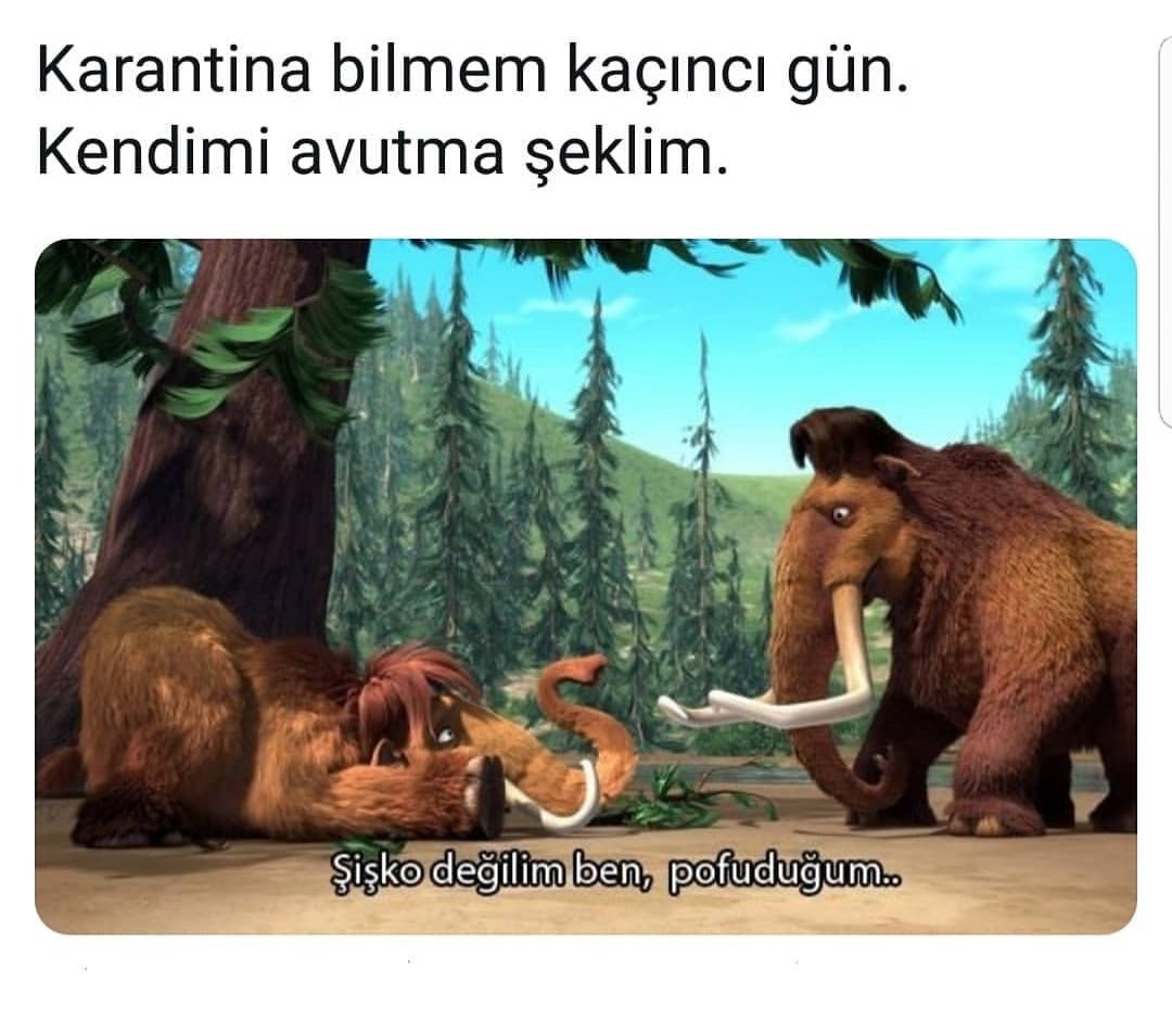 Ne şişkosu ya balık etliyiz sadece XNMDMEIDBEOCHSOPWUD