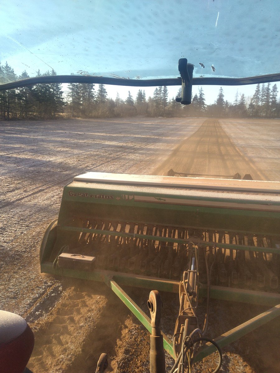 Grain time ground is white this early morning #plant20