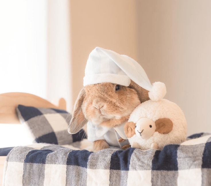 ไหนคืนนี้ใครอยากให้เก้นไปนอนด้วย