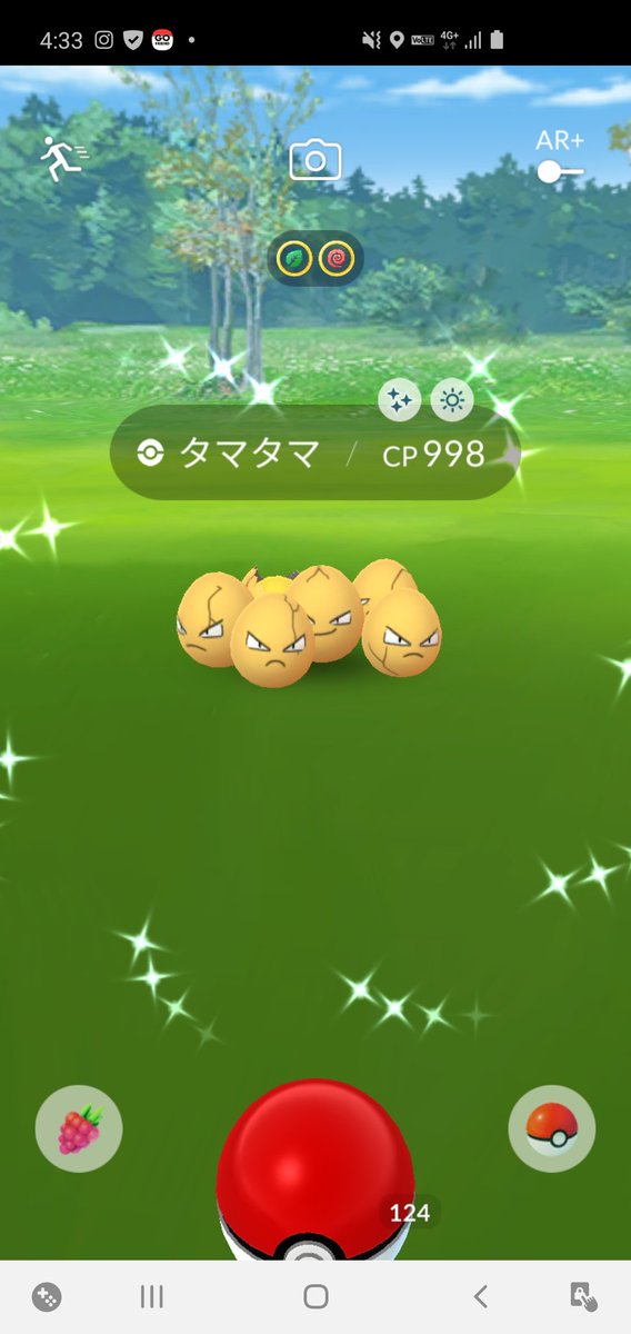 タマタマ タマタマ