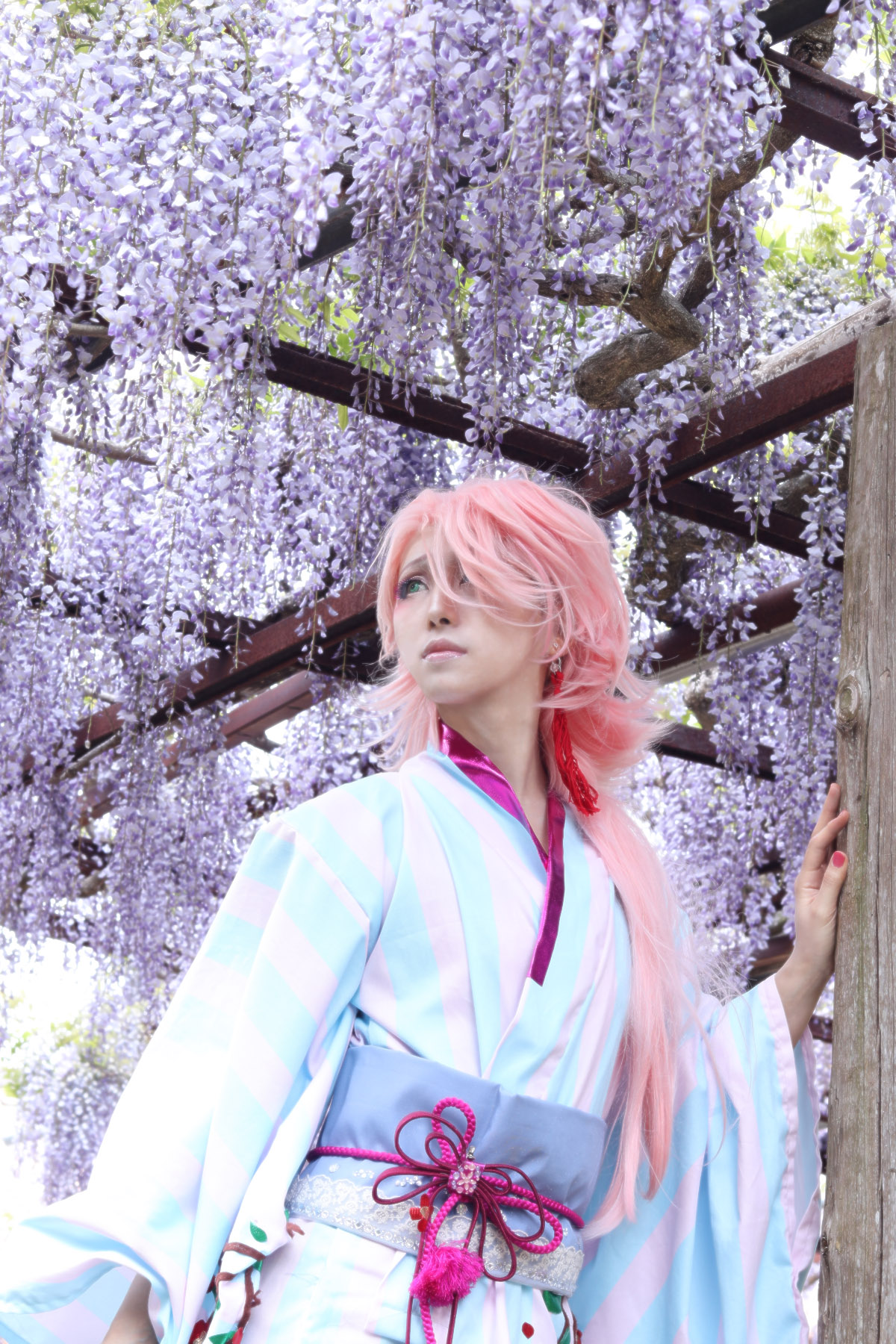 Twitter 上的 狂極 Cos 刀剣乱舞 宗三左文字 軽装 僕は 籠の鳥と一緒ですよ 使われることもなく ただ在ることだけを求められる 撮影 三脚さん コスプレ 藤の花 T Co Cobf27udrc Twitter