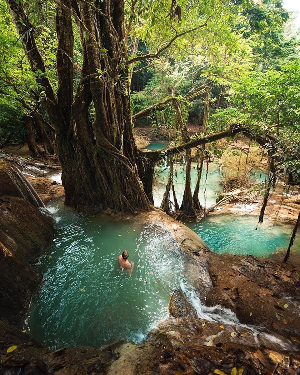 leamigoglobal's tweet photo. South East Asia’s finest waterfalls
Tag your buddy to see these photos! 
Photos by @josiahwg

#waterfall #waterfallwednesday #waterfallsofinstagram #waterfalls #waterfallbraid #southeastasia #southeast #travellingthroughtheworld #travellovers #travelpassport #walltraveled https://t.co/E9WOwtle4I