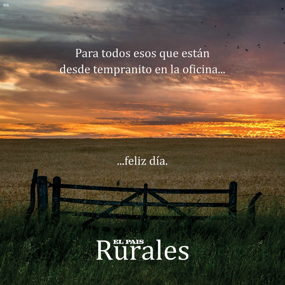 ruraleselpaisuy's tweet photo. Feliz día ! https://t.co/FcxVsiQyo1