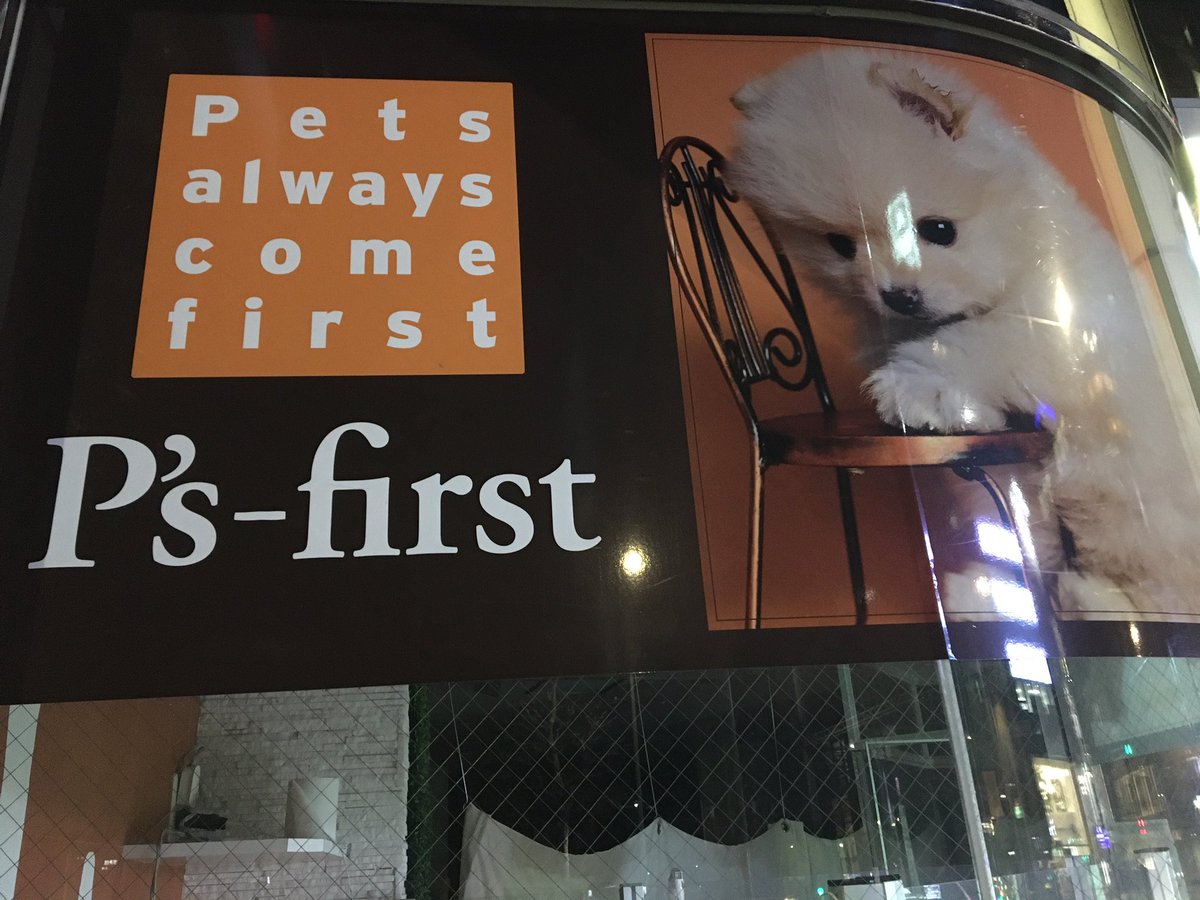boomsabi's tweet photo. 生体販売するお店から犬猫を買わないで。遊びにも行かないで。赤ちゃんはオモチャではないよ。保護犬猫から家族を迎えよう。
#Psfirst #ペットショップ　 #犬　#猫 https://t.co/xE2RF6WLL0