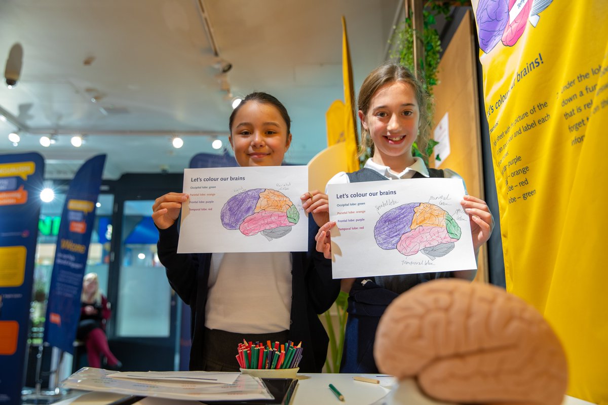 MEITS_OWRI tweet media