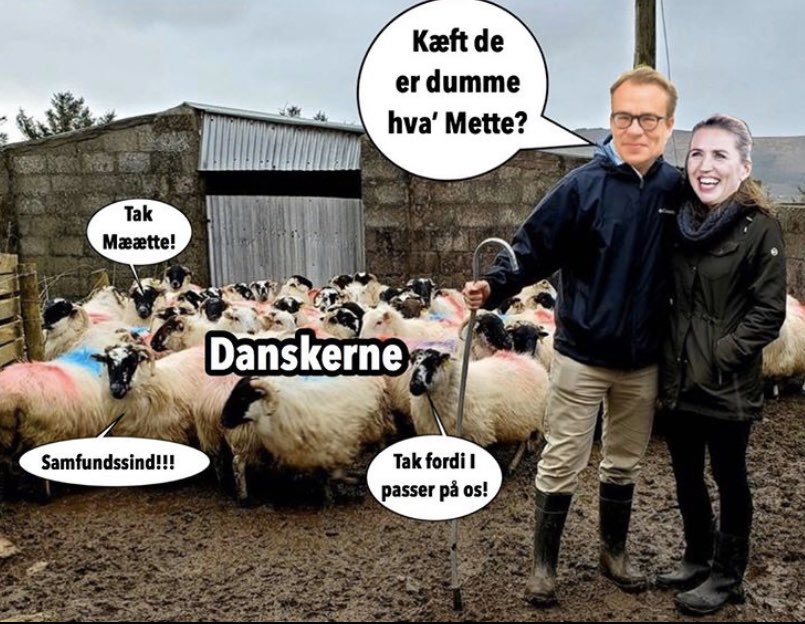 JanEJoergensen's tweet image. Ovre på Instagram har de fjernet dette satiriske indslag fra @dkpolmemes2 - det er simpelthen hatespeech. Hvem er de sarte mimoser fra @Spolitik, der har anmeldt dette harmløse (og ret sjove) meme? Er det dig @SosseRossen?