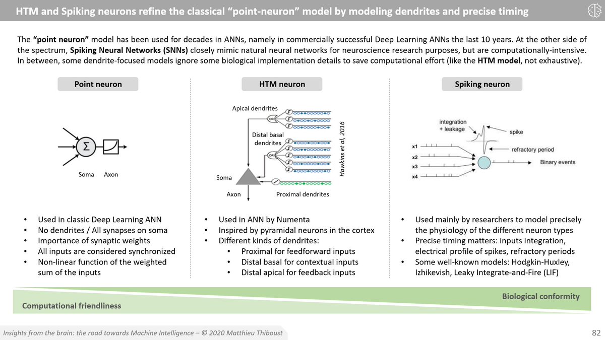 mthiboust's tweet photo. The HTM and Spiking artificial neurons refine the classical Deep Learning “point-neuron” model by modeling dendrites and precise timing. 

The good balance between biological conformity and computational friendliness is mainly a matter of use cases.

@Numenta @NestSimulator https://t.co/bpUPdgztMH